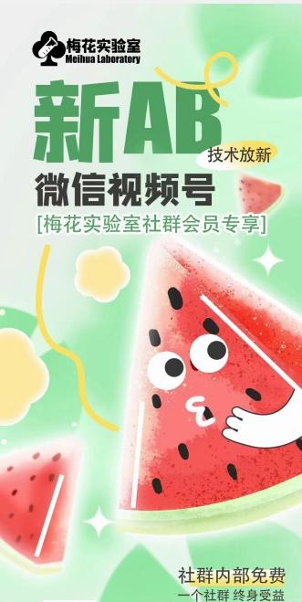 梅花实验室2024年AB技术视频号AB合成破解版-数码之翼