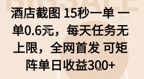 酒店截图15秒一单，一单0.6米，每天任务无上限，全网首发可矩阵单日收益3张【揭秘】-数码之翼