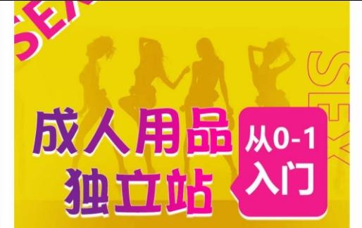 成人用品独立站从0-1入门,成品独立站运营全流程教学,七大好卖成品独立站推荐-数码之翼