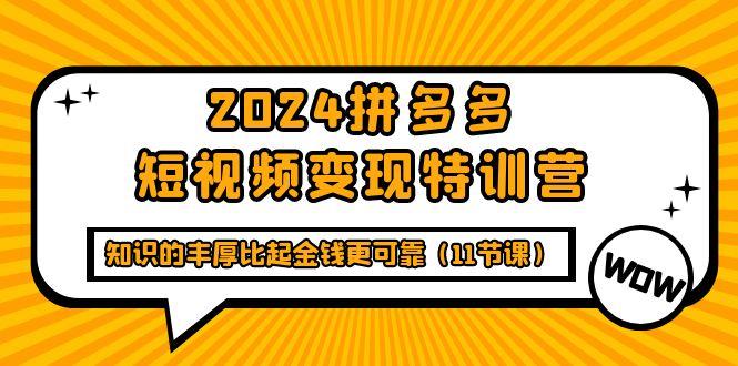 (9817期)2024拼多多短视频变现特训营，知识的丰厚比起金钱更可靠(11节课)-数码之翼
