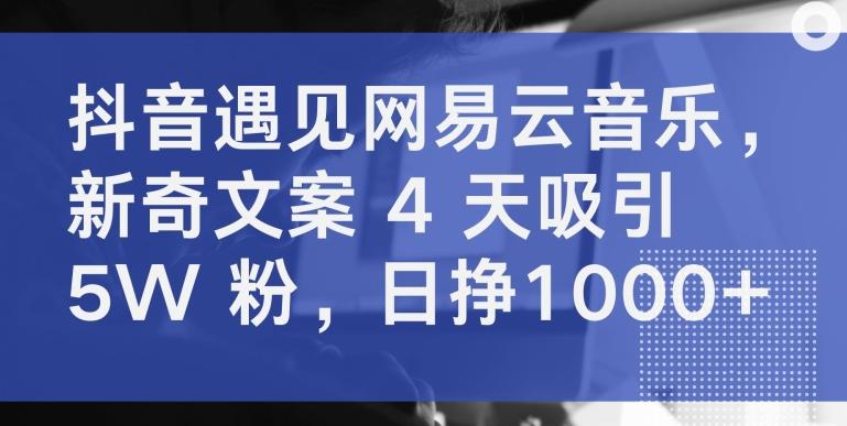 抖音遇见网易云音乐,新奇文案 4 天吸引 5W 粉,日挣1000+【揭秘】-数码之翼