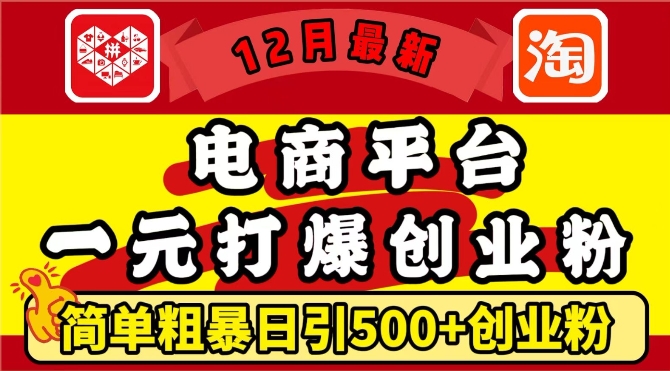 12月最新：电商平台1元打爆创业粉，简单粗暴日引500+精准创业粉，轻松月入过W【揭秘】-数码之翼
