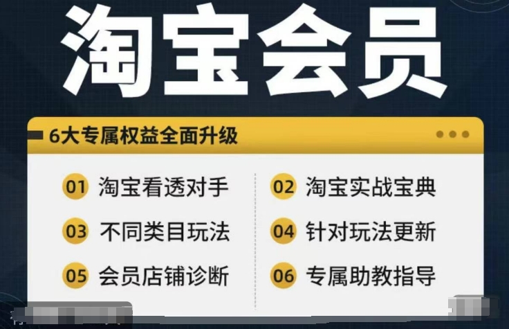 淘宝会员【淘宝所有课程，全面分析对手】，初级到高手全系实战宝典-数码之翼