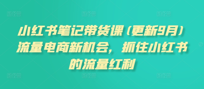 小红书笔记带货课(更新25年1月)流量电商新机会，抓住小红书的流量红利-数码之翼