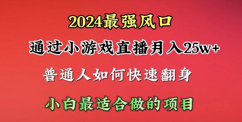 (10020期)2024年最强风口，通过小游戏直播月入25w+单日收益5000+小白最适合做的项目-数码之翼