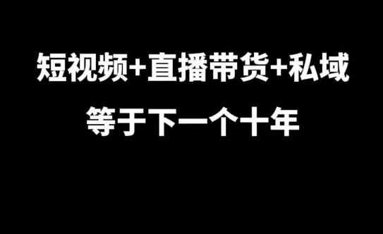 短视频+直播带货+私域等于下一个十年，大佬7年实战经验总结-数码之翼
