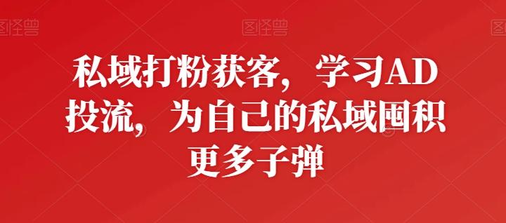 私域打粉获客，学习AD投流，为自己的私域囤积更多子弹-数码之翼