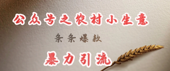 deepseek写农村小项目，条条爆款，暴力引流-数码之翼