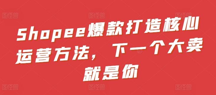 Shopee爆款打造核心运营方法，下一个大卖就是你-数码之翼