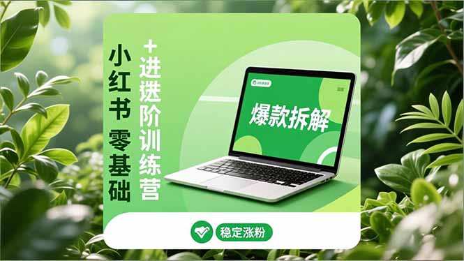 小红书零基础+高阶训练营：安全养号、爆款拆解、长效运营，实现稳定涨粉与变现-数码之翼
