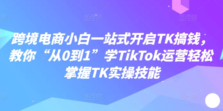 跨境电商小白一站式开启TK搞钱，教你“从0到1”学TikTok运营轻松掌握TK实操技能-数码之翼