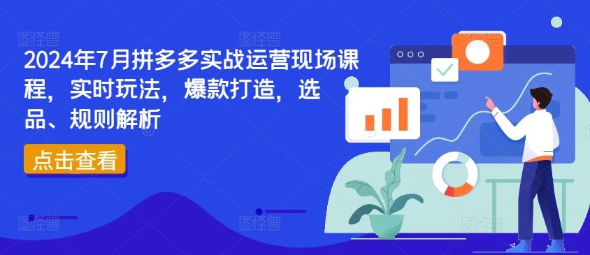 2024年7月拼多多实战运营现场课程，实时玩法，爆款打造，选品、规则解析-数码之翼