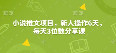 小说推文项目，新人操作6天，每天3位数分享课-数码之翼
