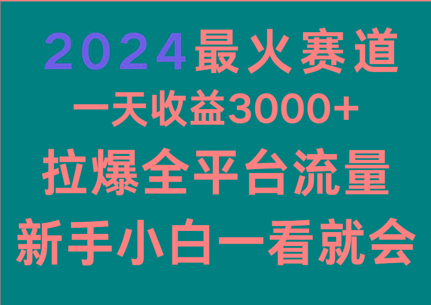 2024最火赛道，一天收一3000+.拉爆全平台流量，新手小白一看就会-数码之翼