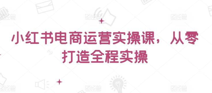 小红书电商运营实操课,从零打造全程实操-数码之翼