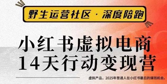 小红书虚拟电商14天变现训练营3.0，​虚拟产品，2025年普通人在小红书最后的搞钱机会-数码之翼