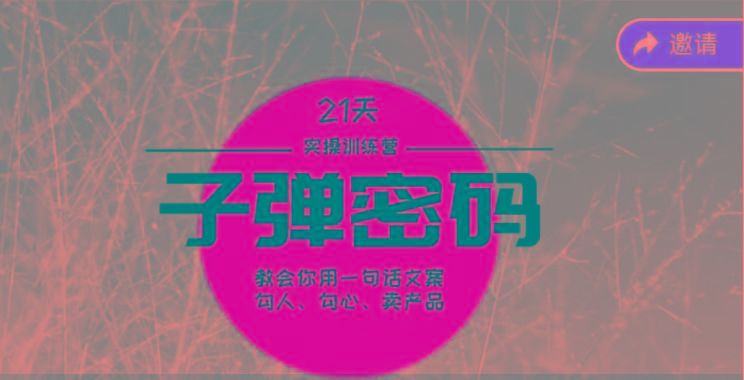 《子弹密码训练营》-用一句话文案勾人勾心卖产品，21天学到顶尖文案大师策略和技巧-数码之翼