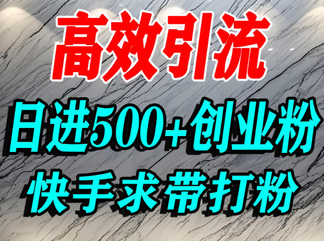 怎么打创业粉？快手求带视角精准引流创业粉，宝妈、学生群体日进500+精准流量-数码之翼