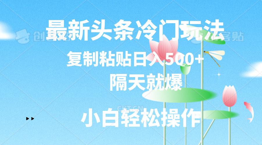 最新头条冷门玩法，隔天就爆，复制粘贴日入500+-数码之翼