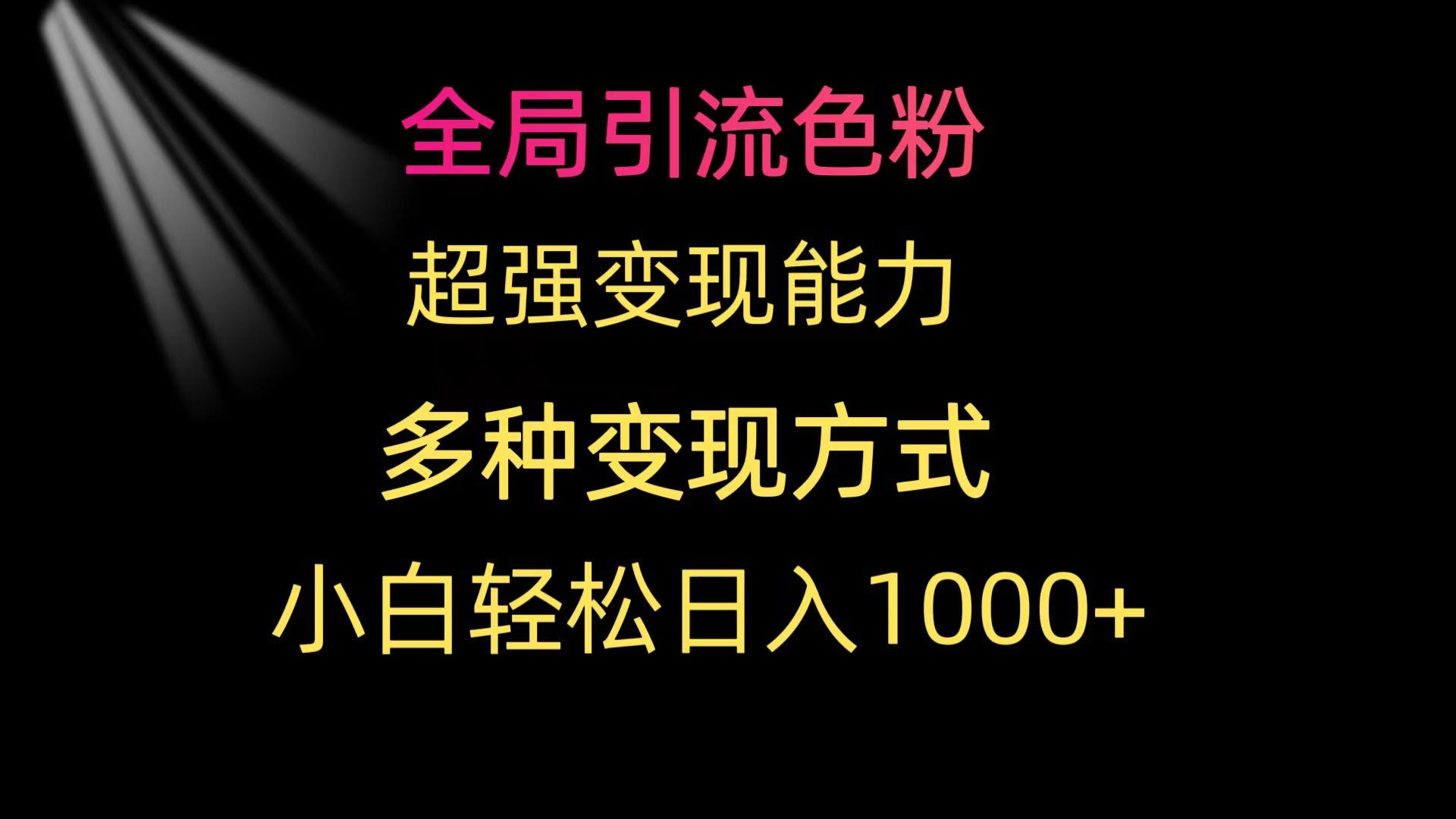 (9680期)全局引流色粉 超强变现能力 多种变现方式 小白轻松日入1000+-数码之翼