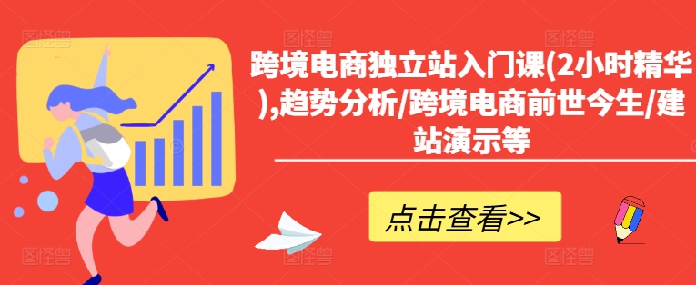 跨境电商独立站入门课(2小时精华),趋势分析/跨境电商前世今生/建站演示等-数码之翼
