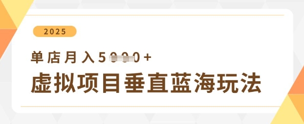 虚拟项目垂直玩法，实现单店月入5k+-数码之翼