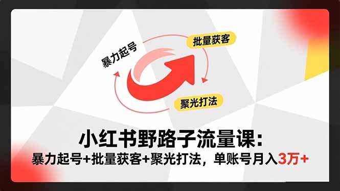 小红书野路子流量课：暴力起号+批量获客+聚光打法，单账号月入3万+-数码之翼