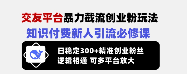 交友平台暴力截流创业粉玩法，知识付费新人引流必修课，日稳定300+精准创业粉丝，逻辑相通可多平台放大-数码之翼
