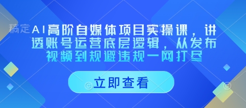 AI高阶自媒体项目实操课，讲透账号运营底层逻辑，从发布视频到规避违规一网打尽-数码之翼