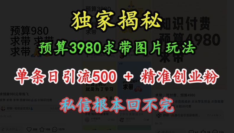 预算3980求带 图片玩法，单条日引流500+精准创业粉，私信根本回不完-数码之翼
