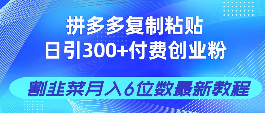 拼多多复制粘贴日引300+付费创业粉，割韭菜月入6位数最新教程！-数码之翼