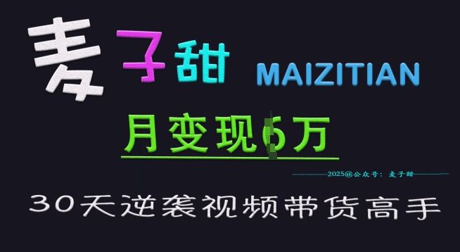 麦子甜30天逆袭视频带货高手，单月变现6W加特训营-数码之翼