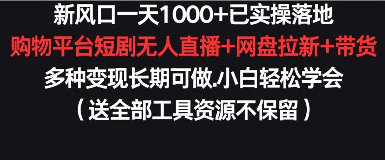 新风口一天1000+已实操落地购物平台短剧无人直播+网盘拉新+带货多种变现长期可做【揭秘】-数码之翼
