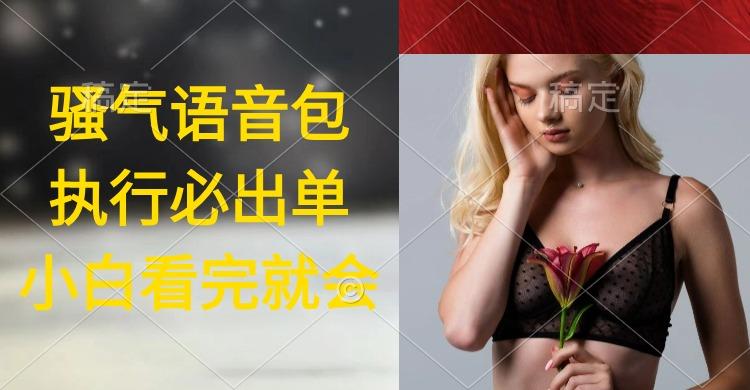 (9589期)执行就出单，日入2000+，超火骚气语音包，小白看完课程就能马上实操-数码之翼