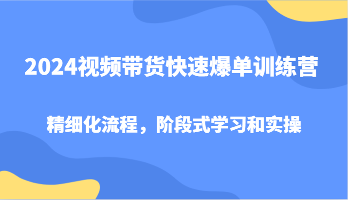 2024视频带货快速爆单训练营，精细化流程，阶段式学习和实操-数码之翼