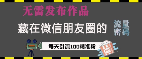 藏在微信朋友圈的流量密码，无需发布作品，单日引流100+精准创业粉【揭秘】-数码之翼