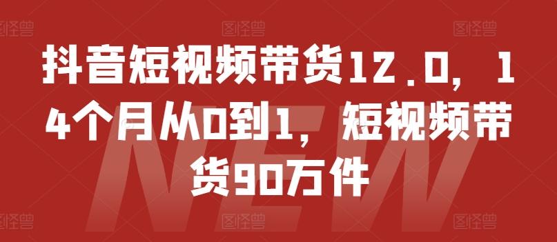 抖音短视频带货12.0，14个月从0到1，短视频带货90万件-数码之翼