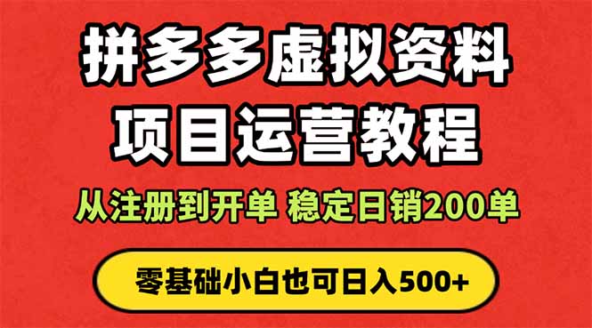 拼多多开店运营课程： 蓝海变现玩法，轻松实现睡后收入 零基础小白也可...-数码之翼