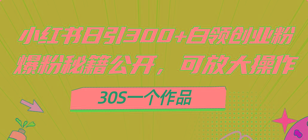 小红书日引300+高质白领创业粉，可放大操作，爆粉秘籍！30s一个作品-数码之翼