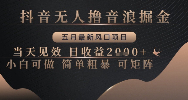 抖音无人撸音浪掘金，五月最新风口项目，当天见效，日收益多张，小白可做简单粗暴可矩阵【揭秘】-数码之翼