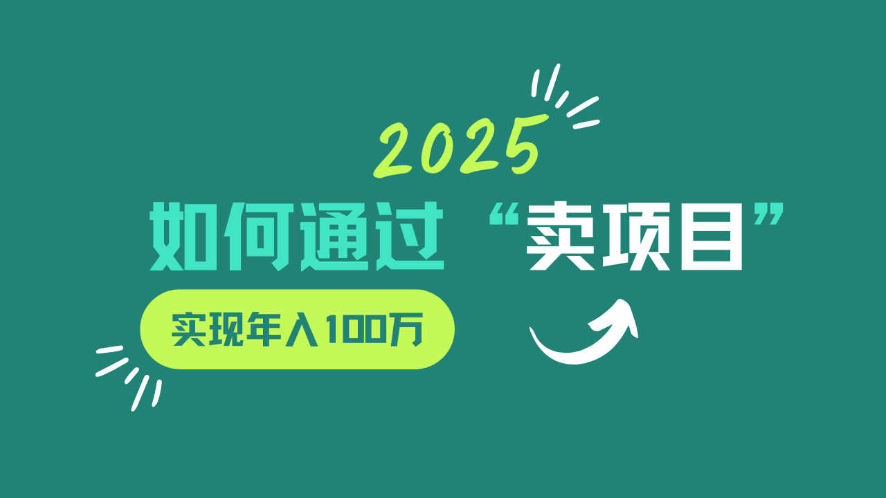 2025年如何通过“卖项目”实现年入100w-数码之翼