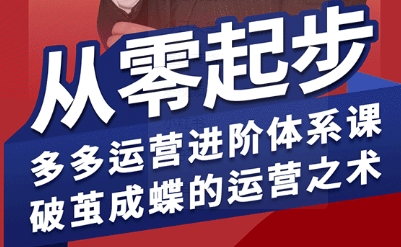 拼多多运营进阶系统课，从零起步，多多运营进阶体系课，破茧成蝶的运营之术(更新26年4月)-数码之翼