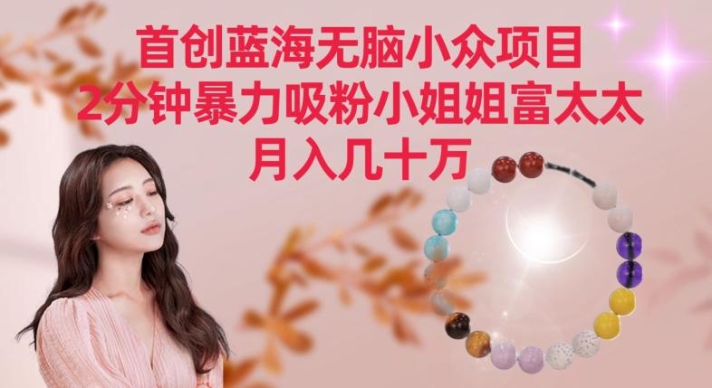 首创蓝海无脑小众项目，2分钟暴力吸粉小姐姐富太太，月入几十万【揭秘】-数码之翼
