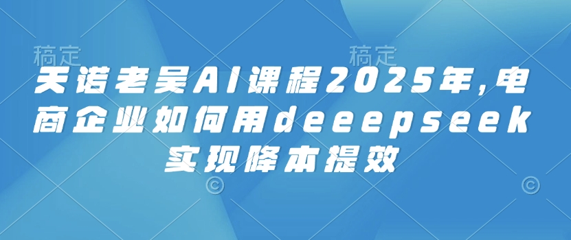天诺老吴AI课程2025年，电商企业如何用deeepseek实现降本提效-数码之翼