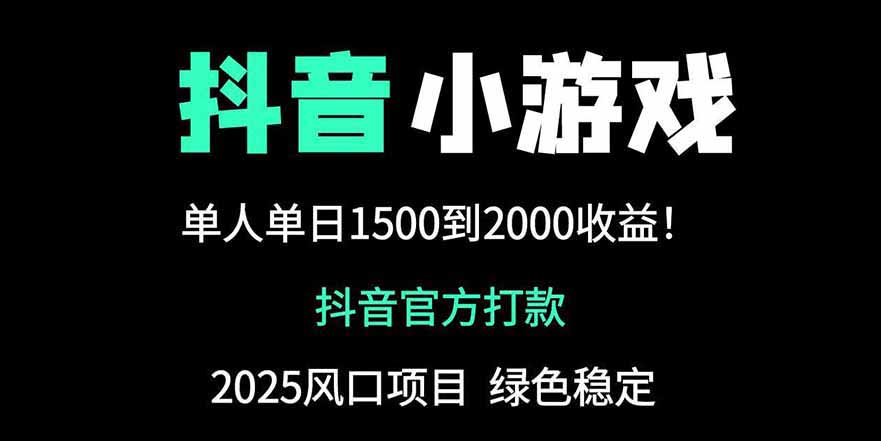 抖音官方小游戏2025全网最新玩法，暴利赚钱项目，单机日入2000+-数码之翼