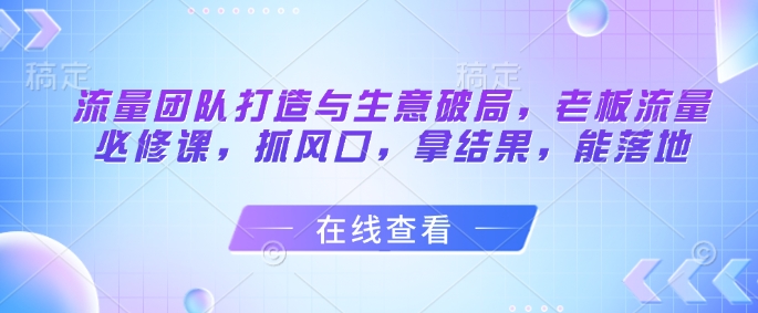流量团队打造与生意破局，老板流量必修课，抓风口，拿结果，能落地-数码之翼