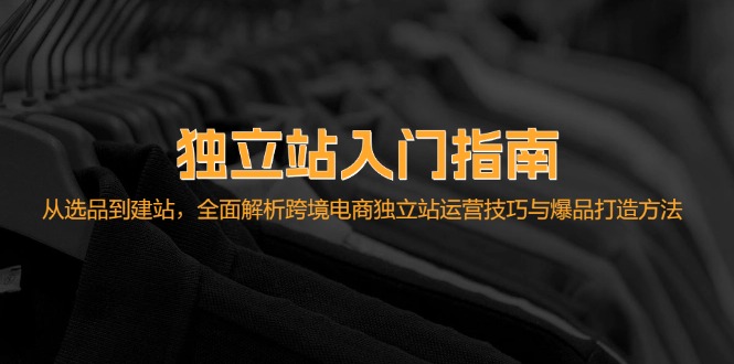 独立站入门指南：从选品到建站，全面解析跨境电商独立站运营技巧与爆品…-数码之翼
