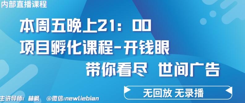 4.26日内部回放课程《项目孵化-开钱眼》赚钱的底层逻辑【揭秘】-数码之翼