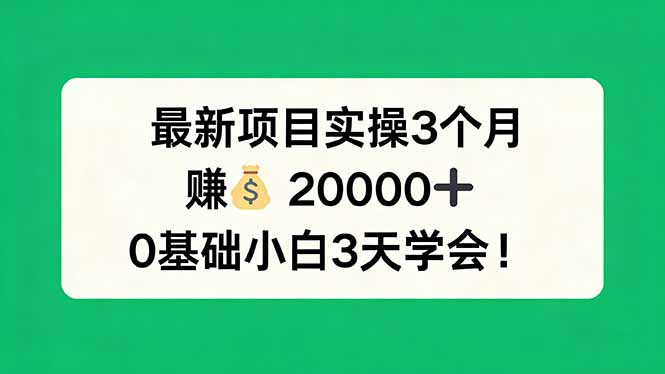 最新项目实操3个月，赚钱20000+，0基础小白3天学会！-数码之翼