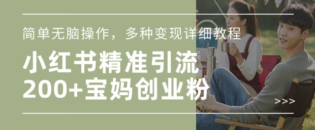 小红书混剪日引200+宝妈创业粉，简单无脑操作，多种变现详细教程-数码之翼